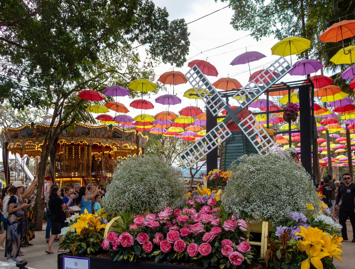 43º EXPOFLORA - HOLAMBRA
