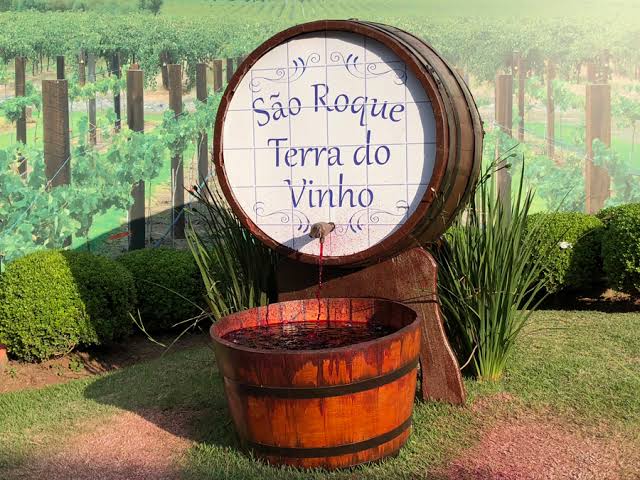 SÃO ROQUE - ROTA DOS VINHOS