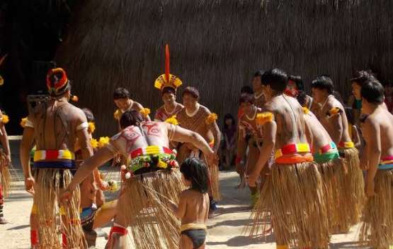 XINGU TOCA DA RAPOSA
