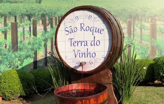 SÃO ROQUE - ROTA DOS VINHOS